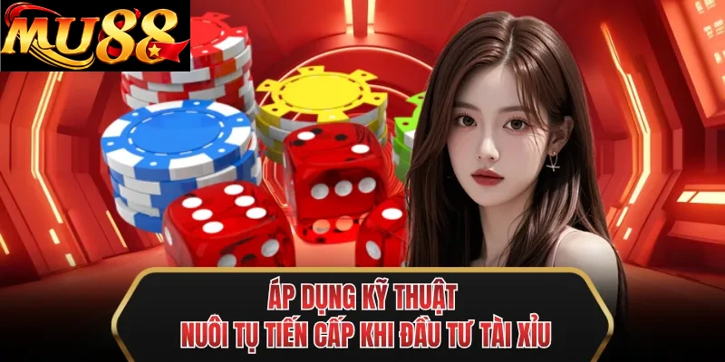 ap dung ky thuat nuoi tu tien cap khi dau tu tai xiu ap dung ky thuat nuoi tu tien cap khi dau tu tai xiu