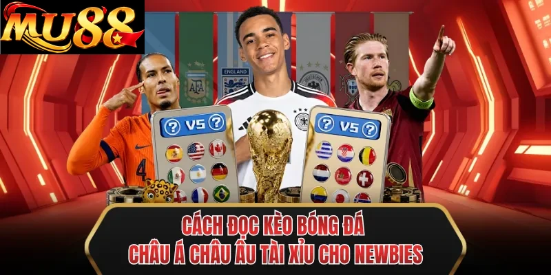 cach doc keo bong da chau a chau au tai xiu cho newbies