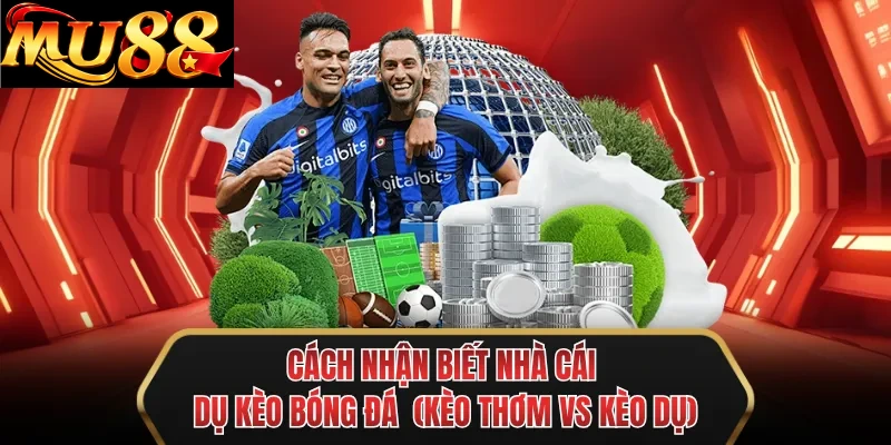 cach nhan biet nha cai du keo bong da keo thom vs keo du