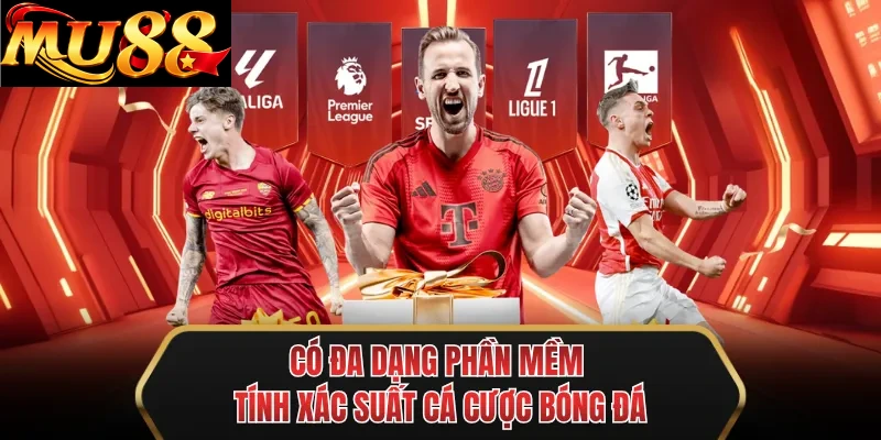 co da dang phan mem tinh xac suat ca cuoc bong da
