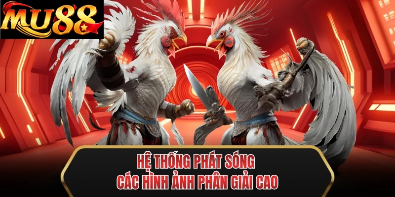 he thong phat song cac hinh anh phan giai cao