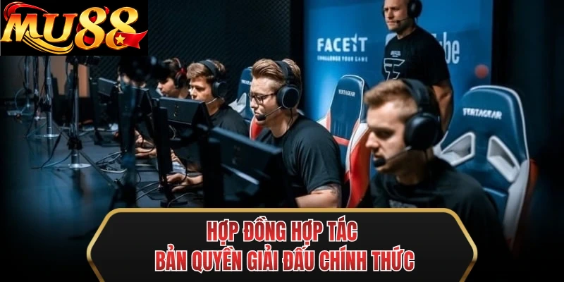 hop dong hop tac ban quyen giai dau chinh thuc hop dong hop tac ban quyen giai dau chinh thuc