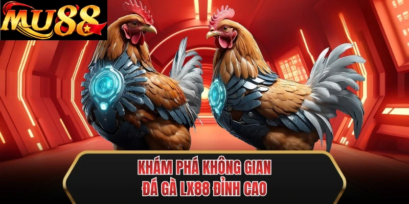 kham pha khong gian da ga mu88 dinh cao