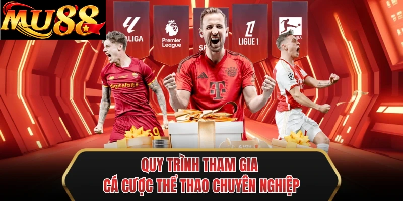 quy trinh tham gia ca cuoc the thao chuyen nghiep