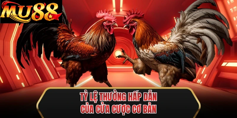 ty le thuong hap dan cua cua cuoc co ban